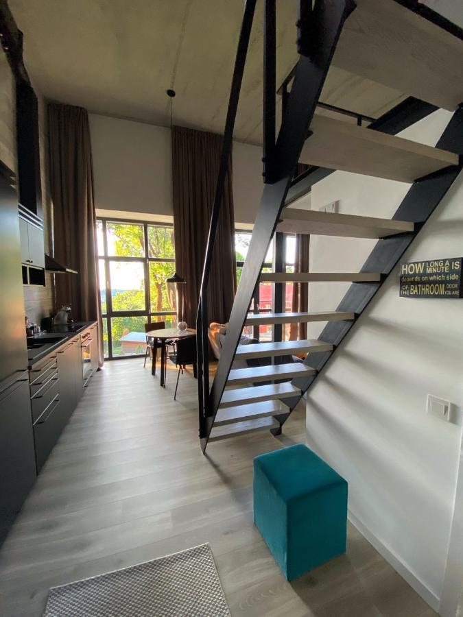 G - Owl Jazz -Modern Loft Type Apartment 18 With Big Roof Terrace And Free Private Parking Kaunas Buitenkant foto