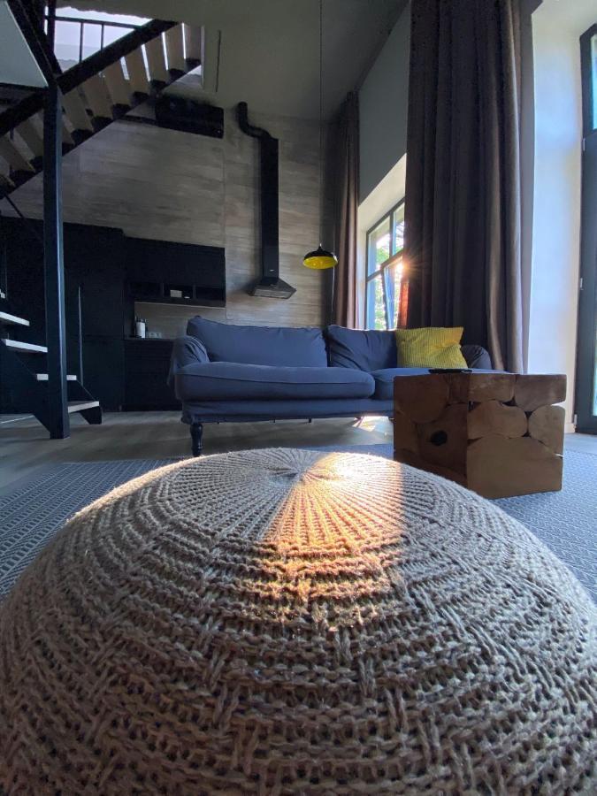 G - Owl Jazz -Modern Loft Type Apartment 18 With Big Roof Terrace And Free Private Parking Kaunas Buitenkant foto