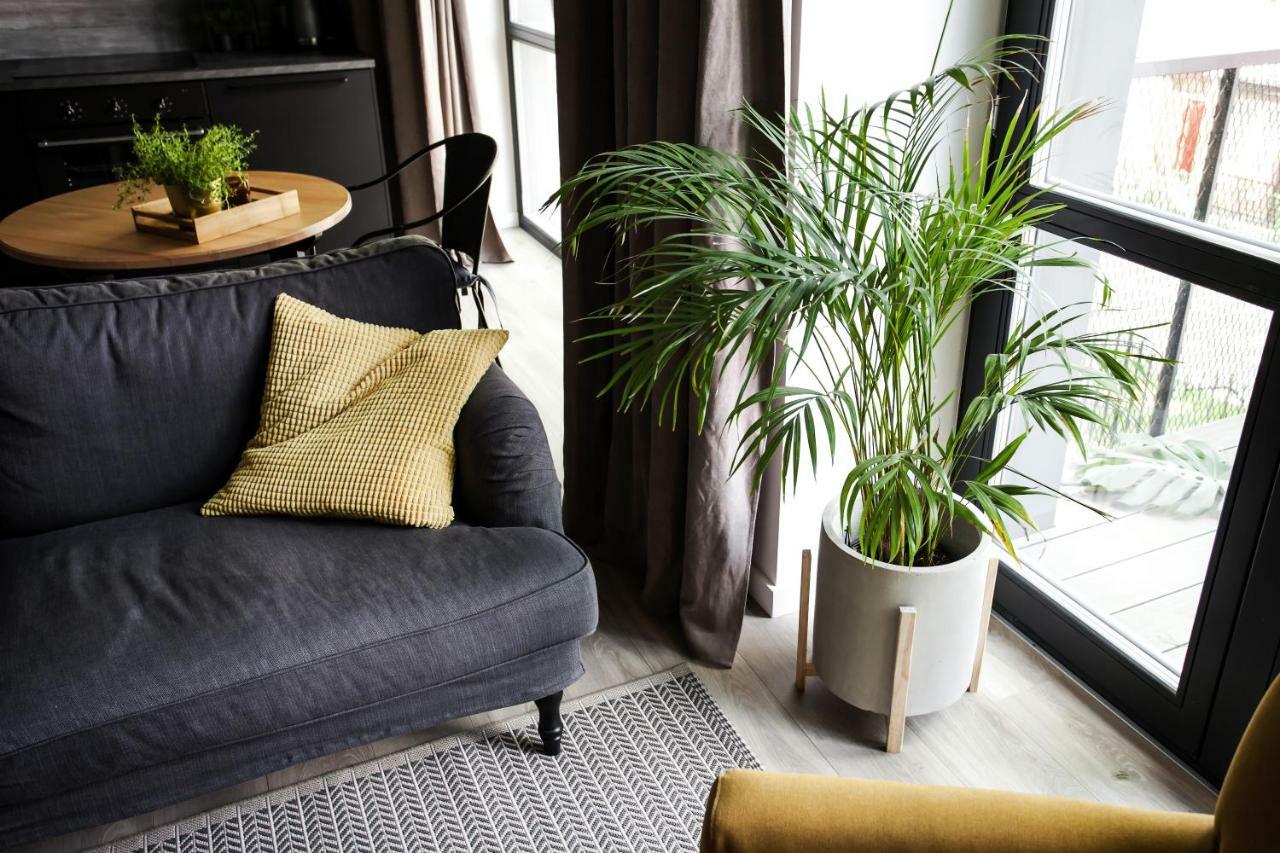 G - Owl Jazz -Modern Loft Type Apartment 18 With Big Roof Terrace And Free Private Parking Kaunas Buitenkant foto